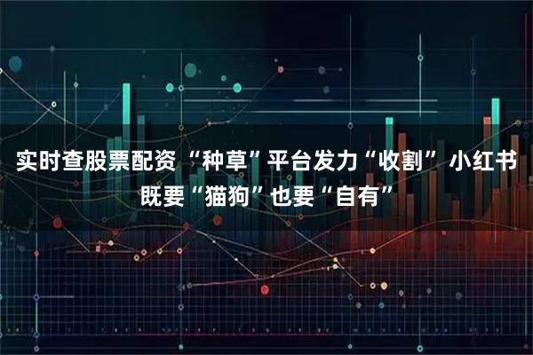 实时查股票配资 “种草”平台发力“收割” 小红书既要“猫狗”也要“自有”