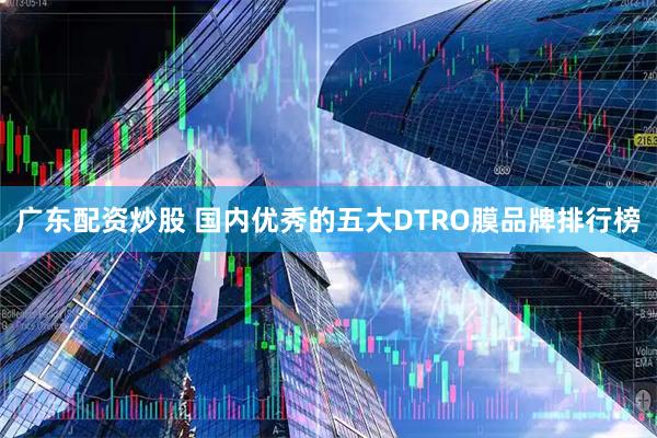广东配资炒股 国内优秀的五大DTRO膜品牌排行榜